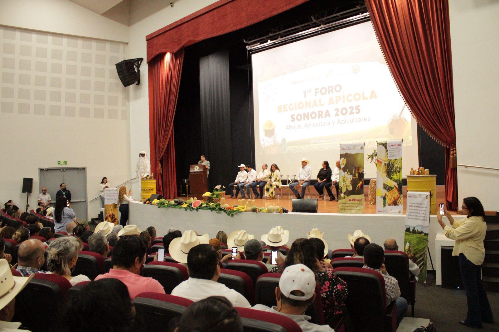 Gobierno de Sonora impulsa el Foro Regional Apícola para fortalecer la producción de miel